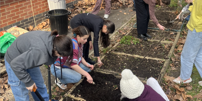 Children planting vegetables - School Food Matters