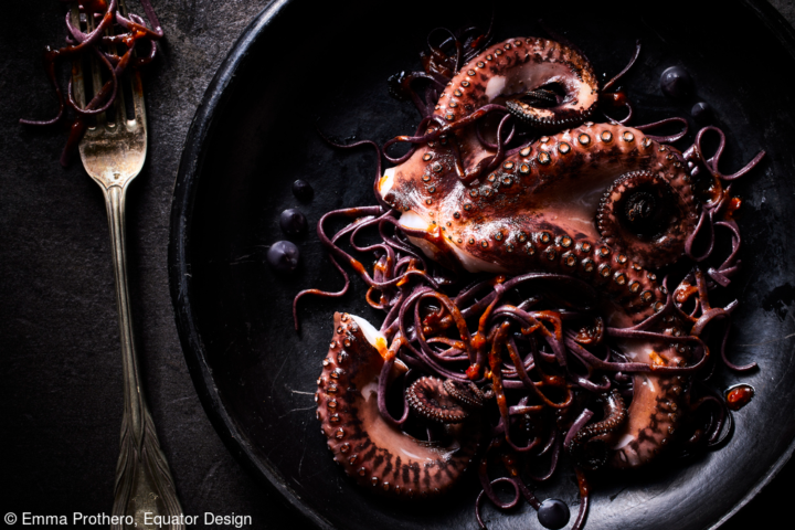 Midnight Octopus - Emma Prothero