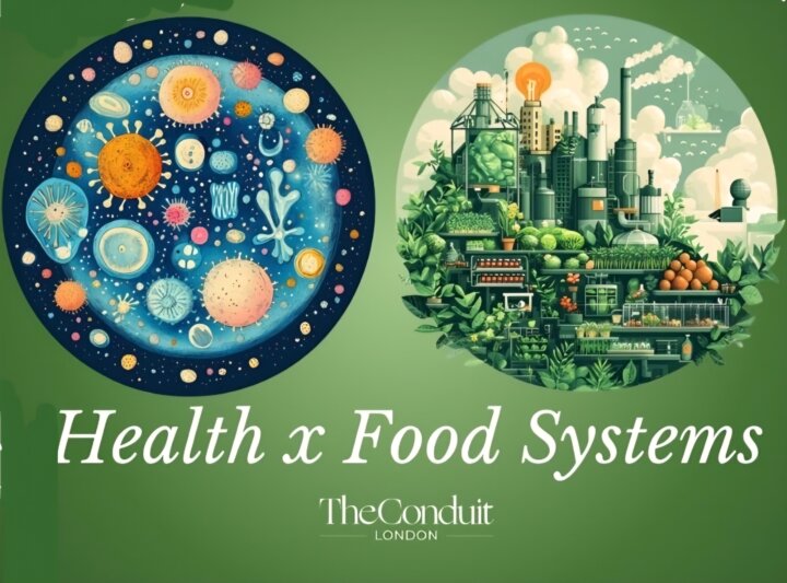 Health and Food Systems - The Conduit
