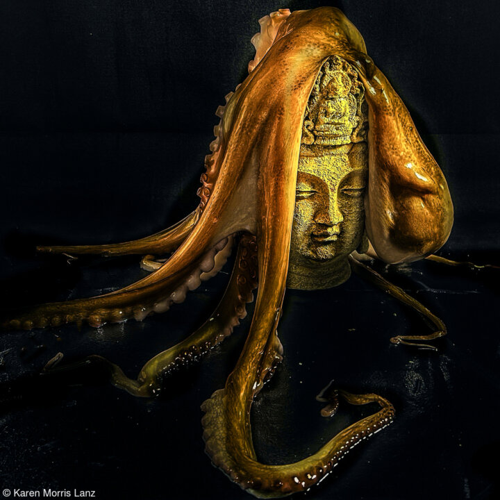 Bhuddas Hair - Karen Morris Lanz