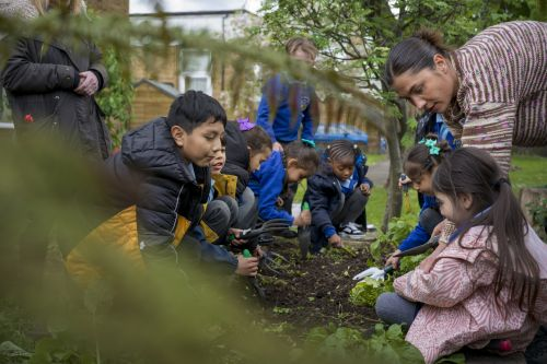 School Food Matters - Children Weeding