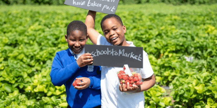 Schools to Market - School Food Matters